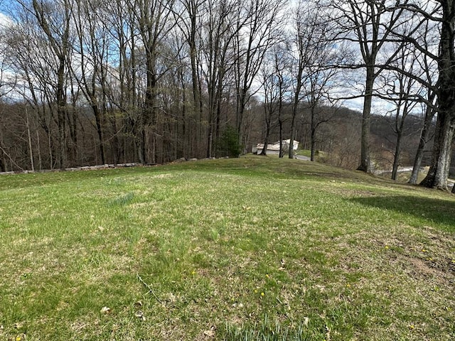 4860 Greasy Creek Rd, Bandy, VA 24602 - view of grassy yard