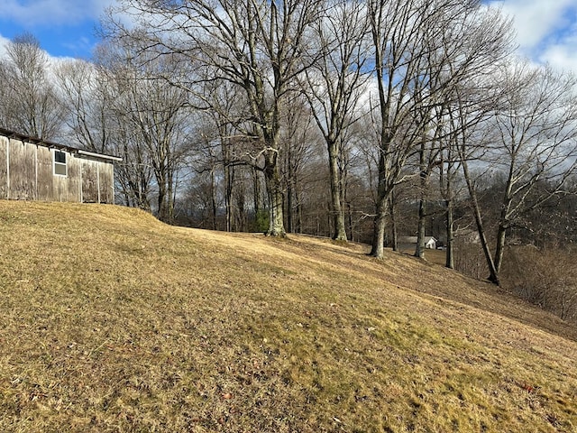 4860 Greasy Creek Rd, Bandy, VA 24602 - view of grassy yard