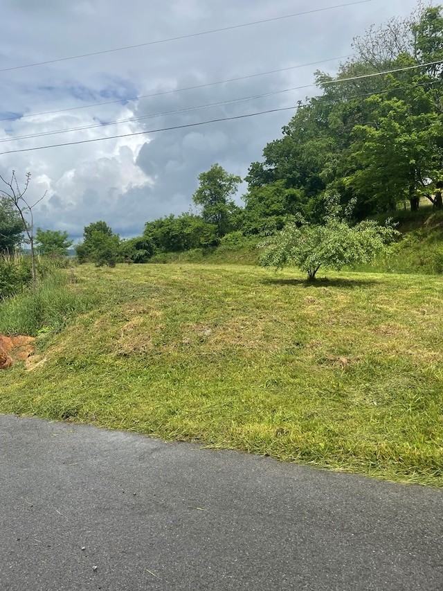 TBD Deer Ridge Trail 0012-B, Tazewell, VA 24651