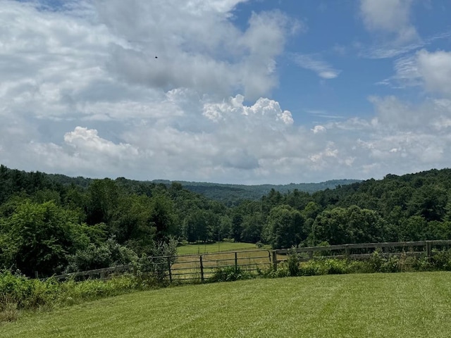 4770 Pipers Gap Rd, Galax, VA 24333 - photo 6