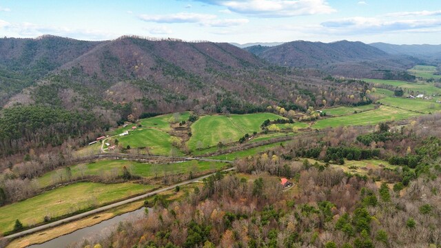 192 Hunting Camp Rd, Bastian, VA 24314 - photo 4