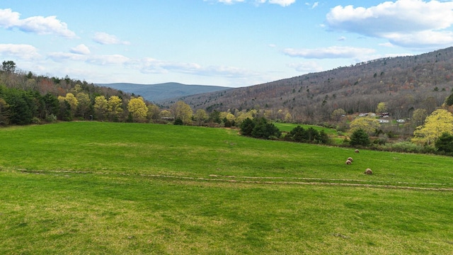 192 Hunting Camp Rd, Bastian, VA 24314 - photo 20