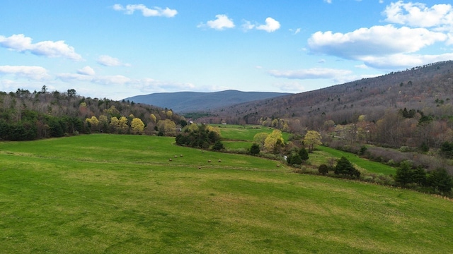 192 Hunting Camp Rd, Bastian, VA 24314 - photo 18
