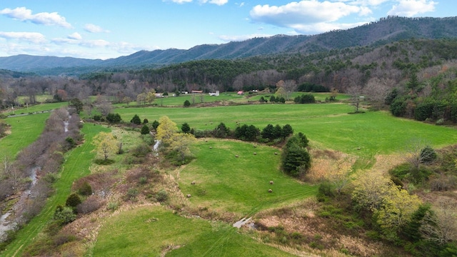 192 Hunting Camp Rd, Bastian, VA 24314 - photo 10