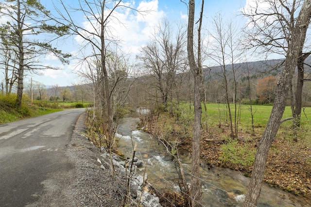 192 Hunting Camp Rd, Bastian, VA 24314 - photo 84