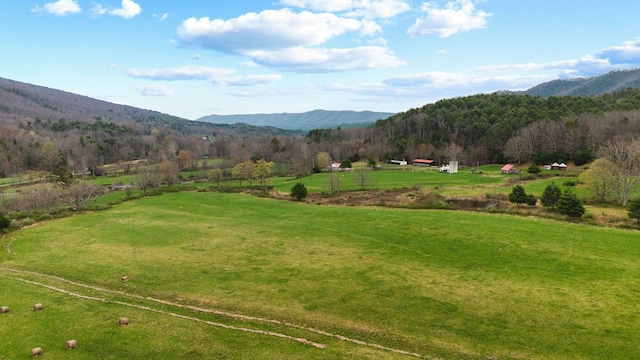 192 Hunting Camp Rd, Bastian, VA 24314 - photo 11