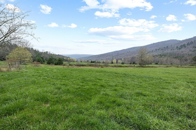 192 Hunting Camp Rd, Bastian, VA 24314 - photo 58