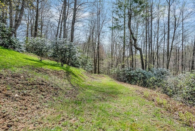 101 Spring Haven Dr, Fancy Gap, VA 24328 - view of local wilderness