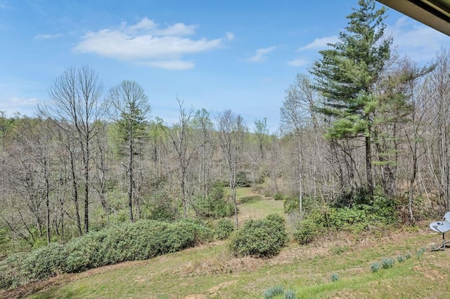101 Spring Haven Dr, Fancy Gap, VA 24328 - view of yard with a view of trees