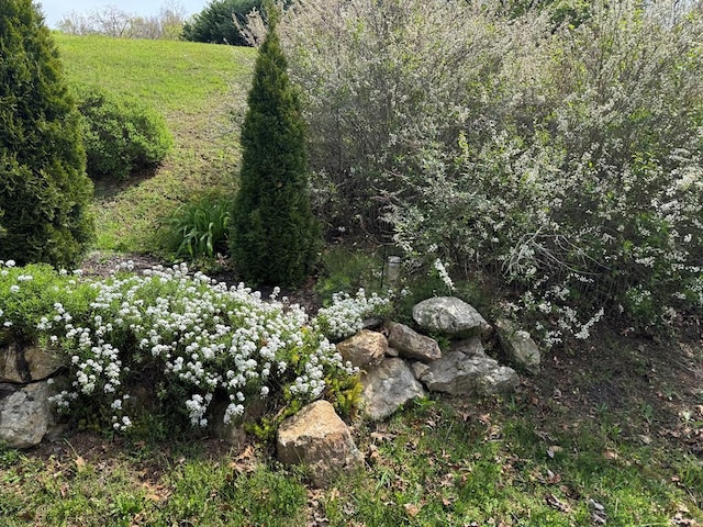 101 Spring Haven Dr, Fancy Gap, VA 24328 - view of local wilderness