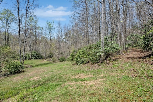101 Spring Haven Dr, Fancy Gap, VA 24328 - view of green lawn featuring a forest view