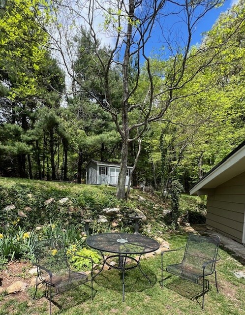 251 Groundhog Hills Rd, Hillsville, VA 24343 - photo 3