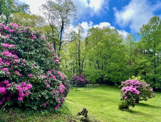 251 Groundhog Hills Rd, Hillsville, VA 24343 - photo 2