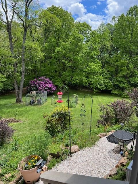 251 Groundhog Hills Rd, Hillsville, VA 24343 - photo 5