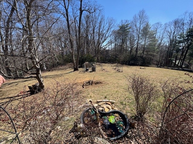 251 Groundhog Hills Rd, Hillsville, VA 24343 - photo 33