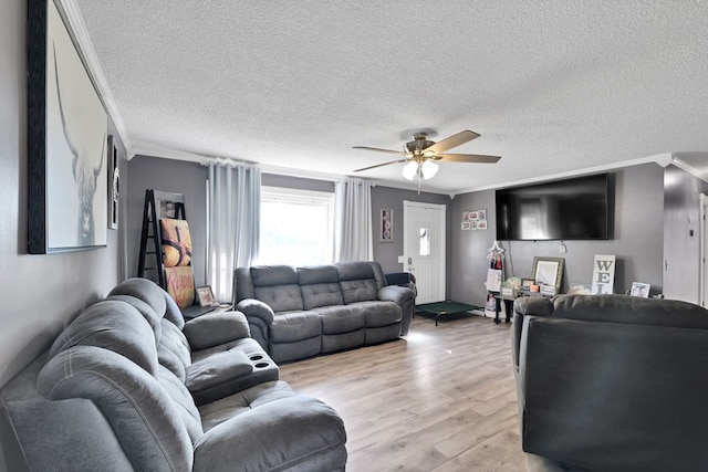 living room with ornamental molding, ceiling fan, a textured ceiling, and light hardwood / wood-style flooring