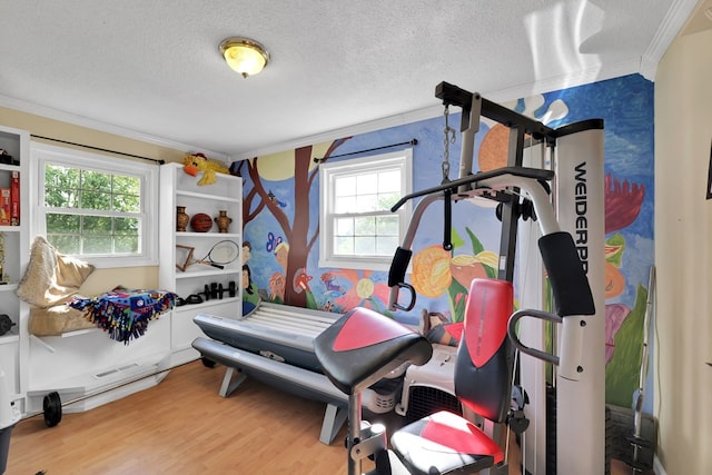 workout area with ornamental molding, wood-type flooring, and a textured ceiling