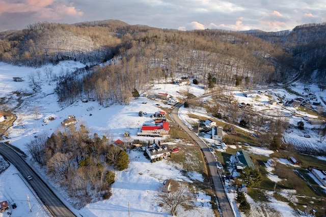 view of snowy aerial view