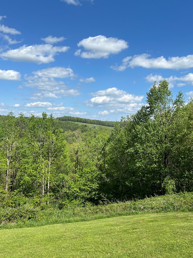 805 Double Bridges Dr, Fancy Gap, VA 24328 - view of yard featuring a view of trees