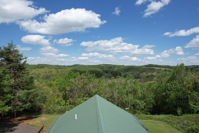 805 Double Bridges Dr, Fancy Gap, VA 24328 - mountain view featuring a forest