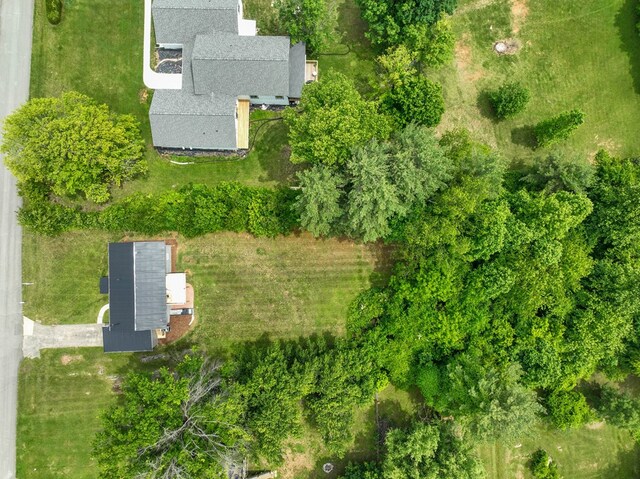145 Elm Heights St, Johnson City, TN 37615 - photo 6