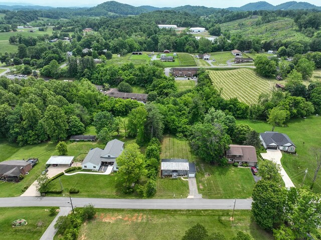 145 Elm Heights St, Johnson City, TN 37615 - photo 16