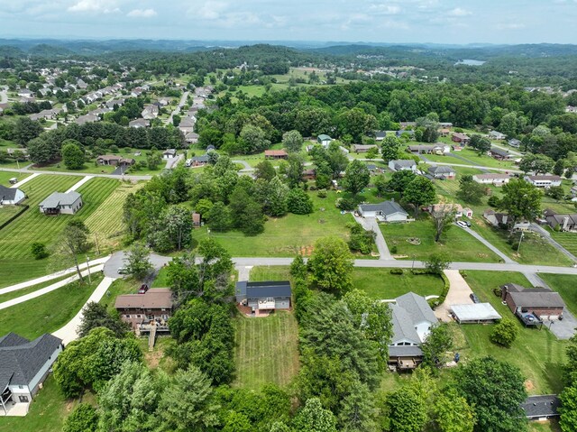 145 Elm Heights St, Johnson City, TN 37615 - photo 12