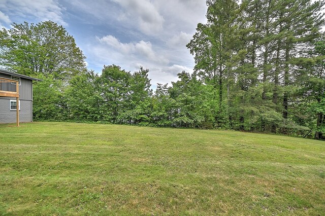 145 Elm Heights St, Johnson City, TN 37615 - photo 24