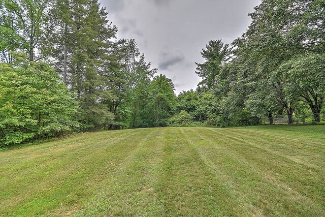 145 Elm Heights St, Johnson City, TN 37615 - photo 29