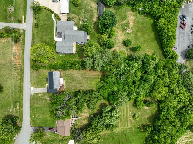 145 Elm Heights St, Johnson City, TN 37615 - photo 10