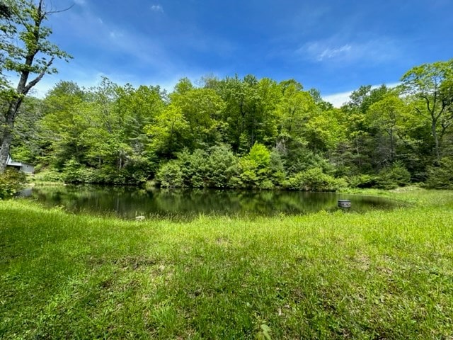 TBD Blue Springs Rd, Elk Creek, VA 24326 - view of tree filled area with a water view