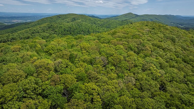 TBD Blue Springs Rd, Elk Creek, VA 24326 - mountain view featuring a heavily wooded area