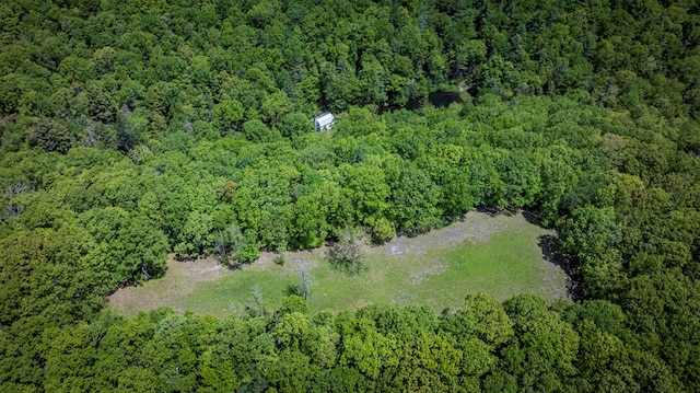 TBD Blue Springs Rd, Elk Creek, VA 24326 - aerial view of property's location with a heavily wooded area