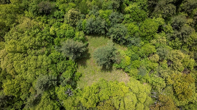 TBD Blue Springs Rd, Elk Creek, VA 24326 - aerial view