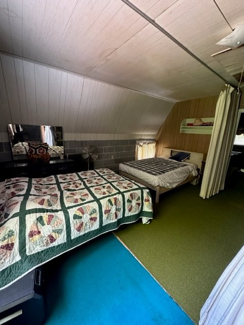 TBD Blue Springs Rd, Elk Creek, VA 24326 - bedroom with wood walls, lofted ceiling, and carpet