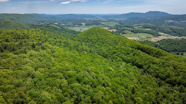 TBD Blue Springs Rd, Elk Creek, VA 24326 - aerial view of a heavily wooded area and mountains