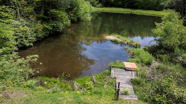 TBD Blue Springs Rd, Elk Creek, VA 24326 - water view with a heavily wooded area