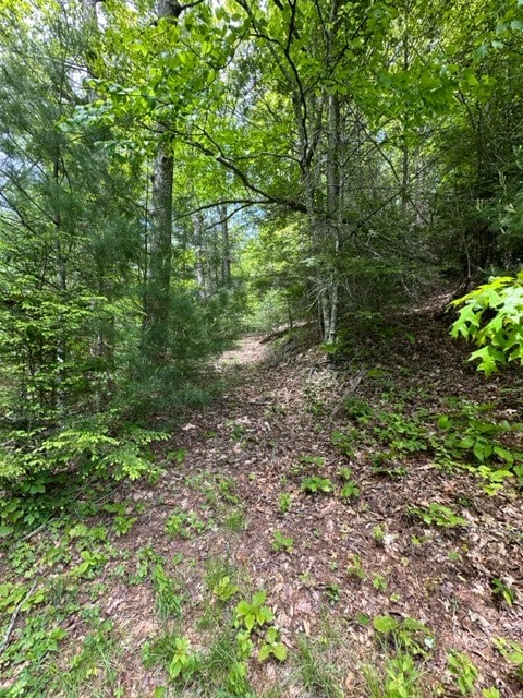 TBD Blue Springs Rd, Elk Creek, VA 24326 - view of tree filled area