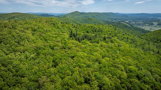 TBD Blue Springs Rd, Elk Creek, VA 24326 - view of mountain backdrop featuring a heavily wooded area