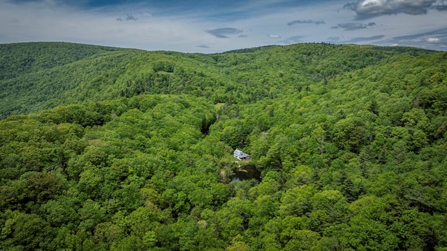 TBD Blue Springs Rd, Elk Creek, VA 24326 - aerial view of a forest