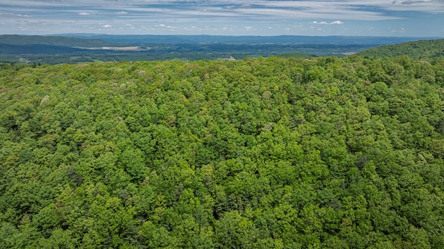 TBD Blue Springs Rd, Elk Creek, VA 24326 - aerial view of a forest and a mountain backdrop