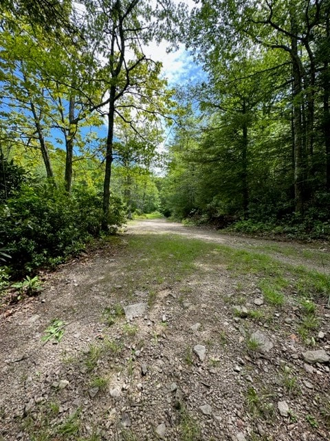 TBD Blue Springs Rd, Elk Creek, VA 24326 - view of road featuring a forest view