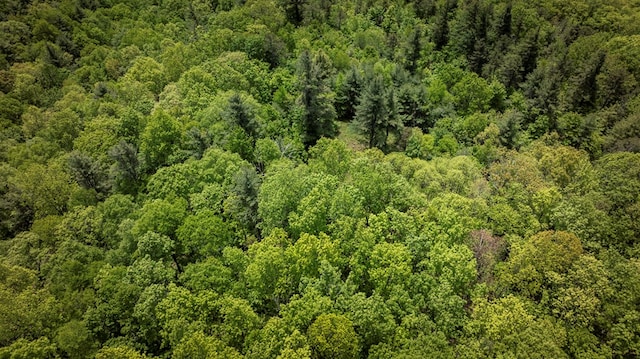 TBD Blue Springs Rd, Elk Creek, VA 24326 - aerial view of property and surrounding area featuring a heavily wooded area