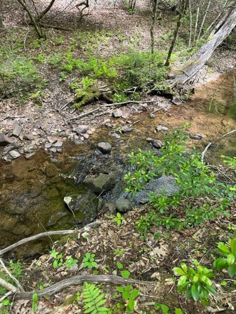 TBD Blue Springs Rd, Elk Creek, VA 24326 - view of local wilderness