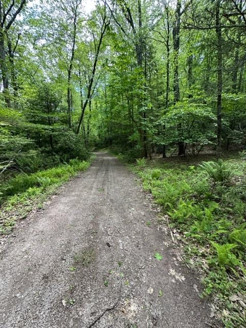 TBD Blue Springs Rd, Elk Creek, VA 24326 - view of road with a forest view