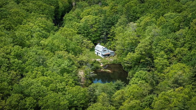 TBD Blue Springs Rd, Elk Creek, VA 24326 - view of property location with a heavily wooded area and a large body of water