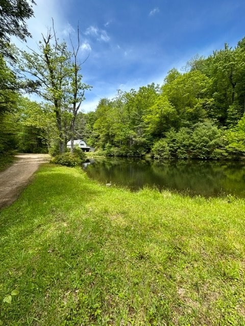 TBD Blue Springs Rd, Elk Creek, VA 24326 - view of yard featuring a view of trees and a water view