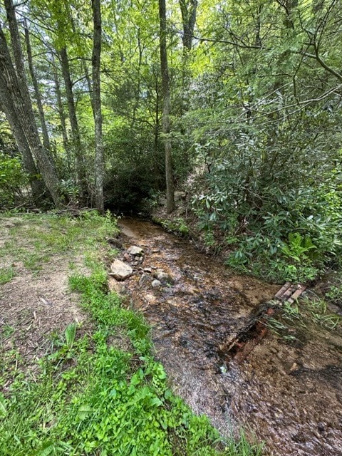 TBD Blue Springs Rd, Elk Creek, VA 24326 - view of wooded area
