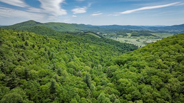 TBD Blue Springs Rd, Elk Creek, VA 24326 - view of mountain backdrop featuring a forest