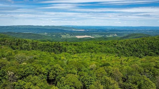 TBD Blue Springs Rd, Elk Creek, VA 24326 - view of mountain backdrop featuring a forest